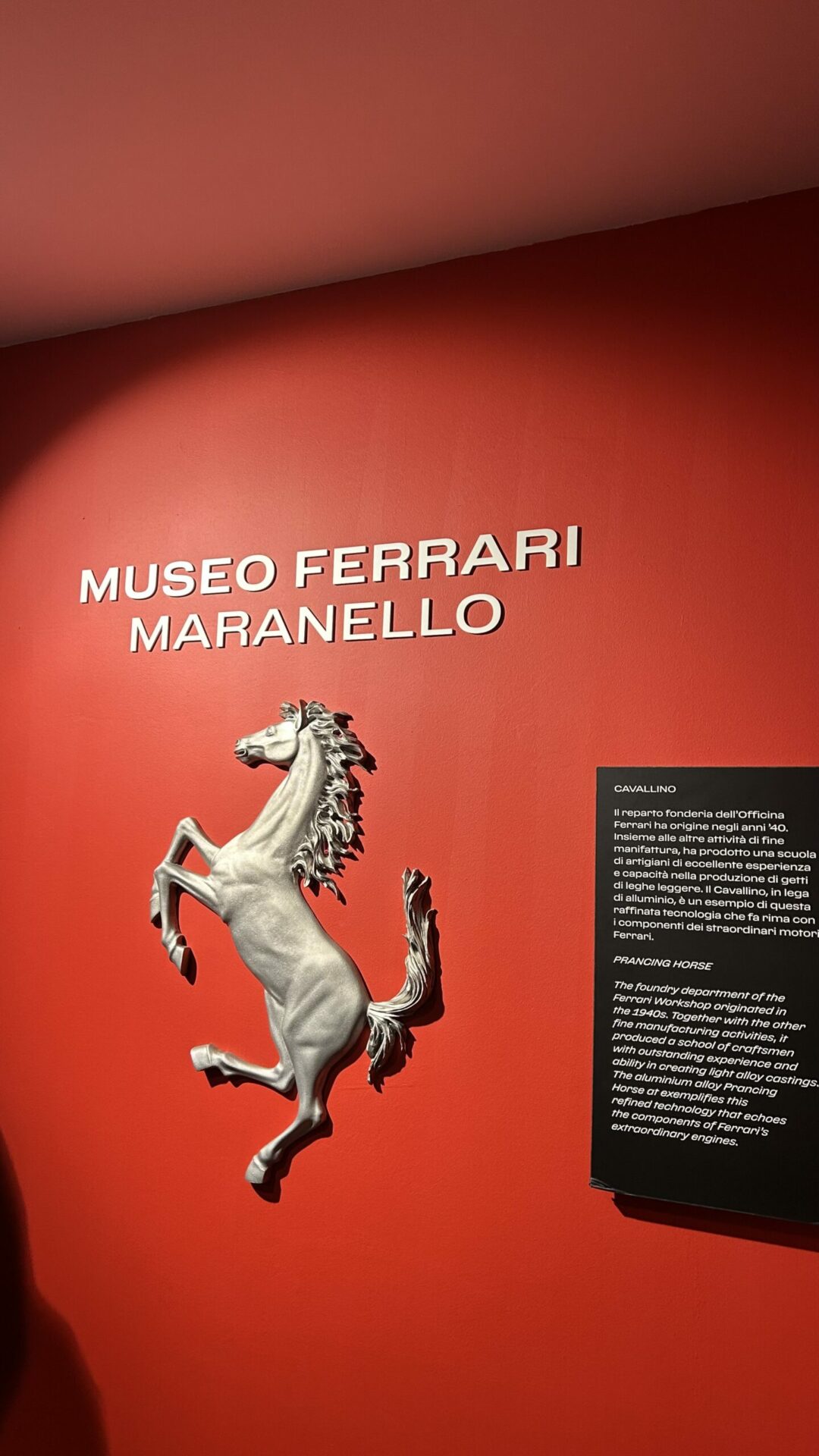 Foto 20-01-2026, 15 55 59