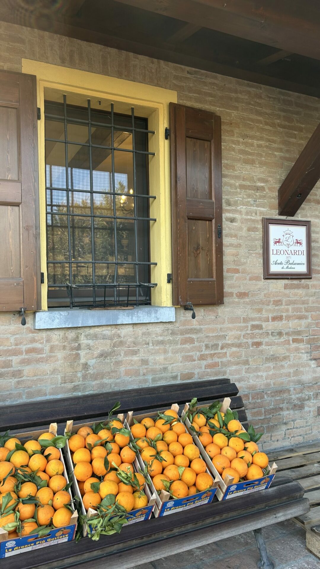 Foto 21-01-2026, 10 08 56 (1)