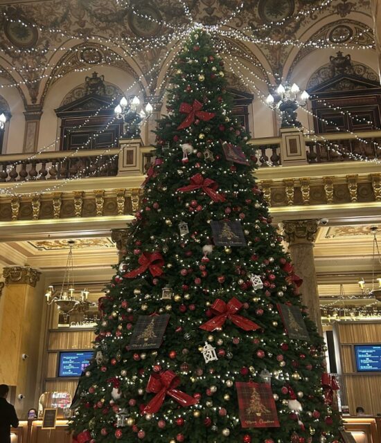 WhatsApp Image 2026-03-27 at 17.21.21